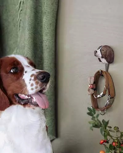 Springer Spaniel-krok fra Snekkerbua, en vakker og funksjonell dyrekrok laget i jern. Perfekt for hundeelskere som ønsker en dekorativ og praktisk løsning til hjemmet.