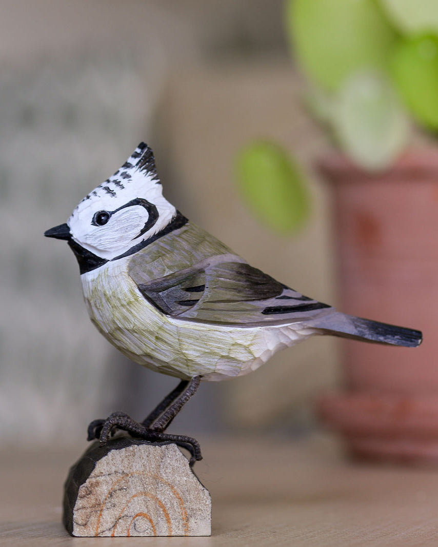 Toppmeis trefugl, en detaljert og naturlig tredekorasjon som fremhever den karakteristiske skjønnheten til denne lille fuglen. En flott gaveidé for fugleelskere og et unikt innslag i ethvert hjem.