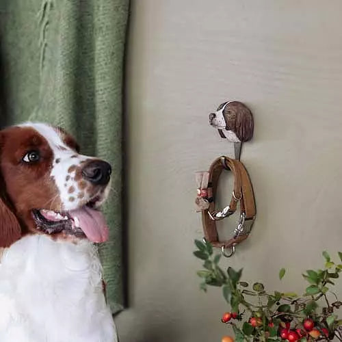 Springer Spaniel-Krok - Snekkerbua