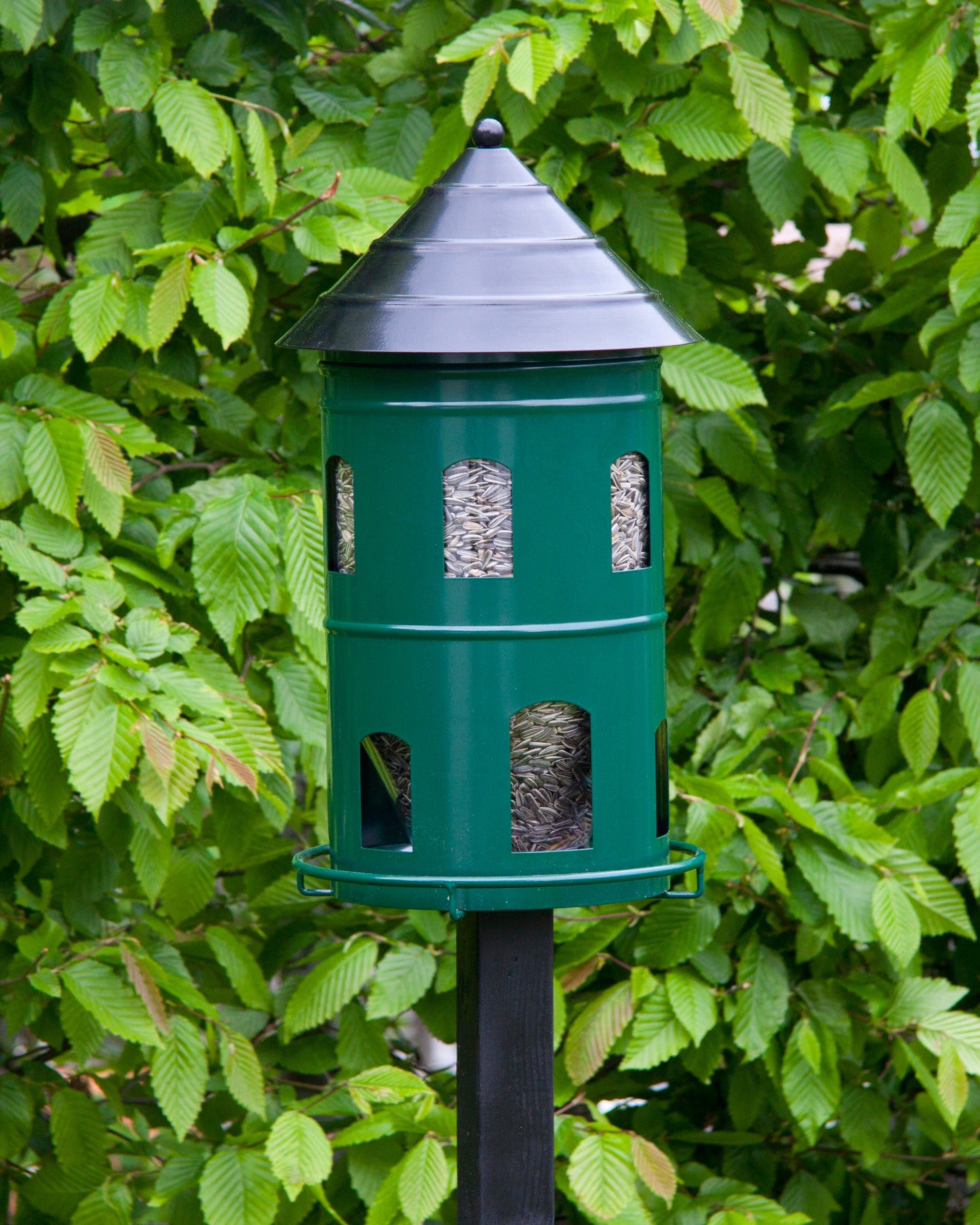 Gigant fuglemater i metall fra Wildlife Garden med stor kapasitet på 6 liter frøblanding. Utstyrt med innvendig plastbeholder og solid holder i pulverlakkert stål som tåler vær og vind. Småfuglene sitter på ringen utenpå materen, noe som hindrer forurensning av frøene i beholderen. Egner seg godt for helårs fôring i hage og uteområde. Monteres på stolpe eller gjerde (skrue og skive medfølger, stolpe følger ikke med). Høyde 42 cm, diameter 22 cm.