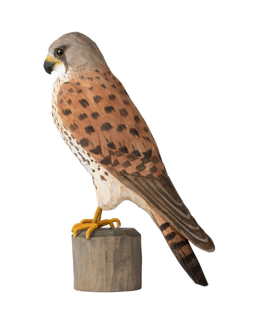 Tårnfalk i tre, en nydelig håndlaget trefugl fra Wildlife Garden. Denne dekorative fuglen har detaljerte kutt og farger som gjør den til et flott tillegg i ethvert hjem. Tårnfalken symboliserer både styrke og eleganse, og er en perfekt gave til fugleelskere og naturentusiaster.