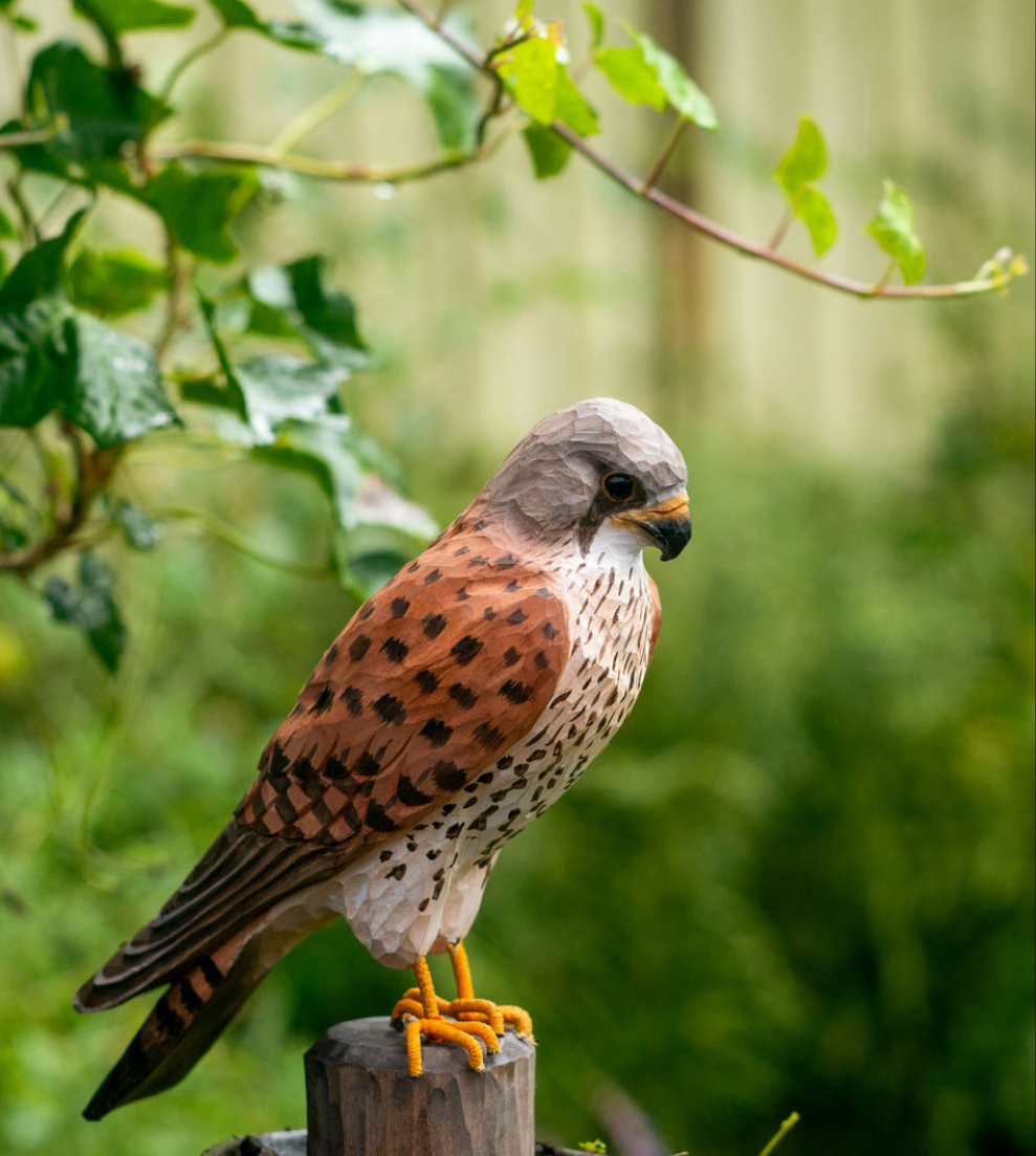 Tårnfalk i tre, en nydelig håndlaget trefugl fra Wildlife Garden. Denne dekorative fuglen har detaljerte kutt og farger som gjør den til et flott tillegg i ethvert hjem. Tårnfalken symboliserer både styrke og eleganse, og er en perfekt gave til fugleelskere og naturentusiaster.